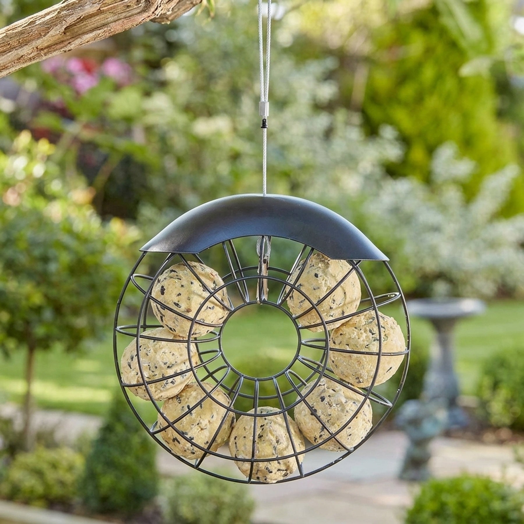 Uni Ring Hanging Suet Ball Feeder