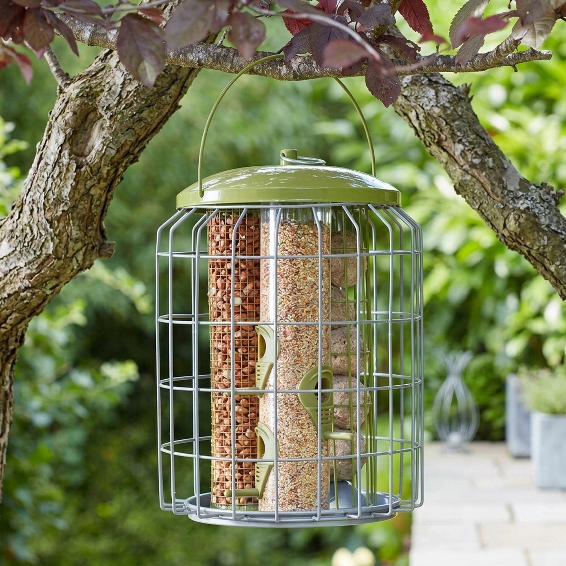 Robust 3-in-1 Squirrel Proof Bird Feeder