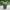 Antique Green Terracotta Roman Garden Jar