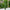 Haven Artificial Twirl Topiary Tree