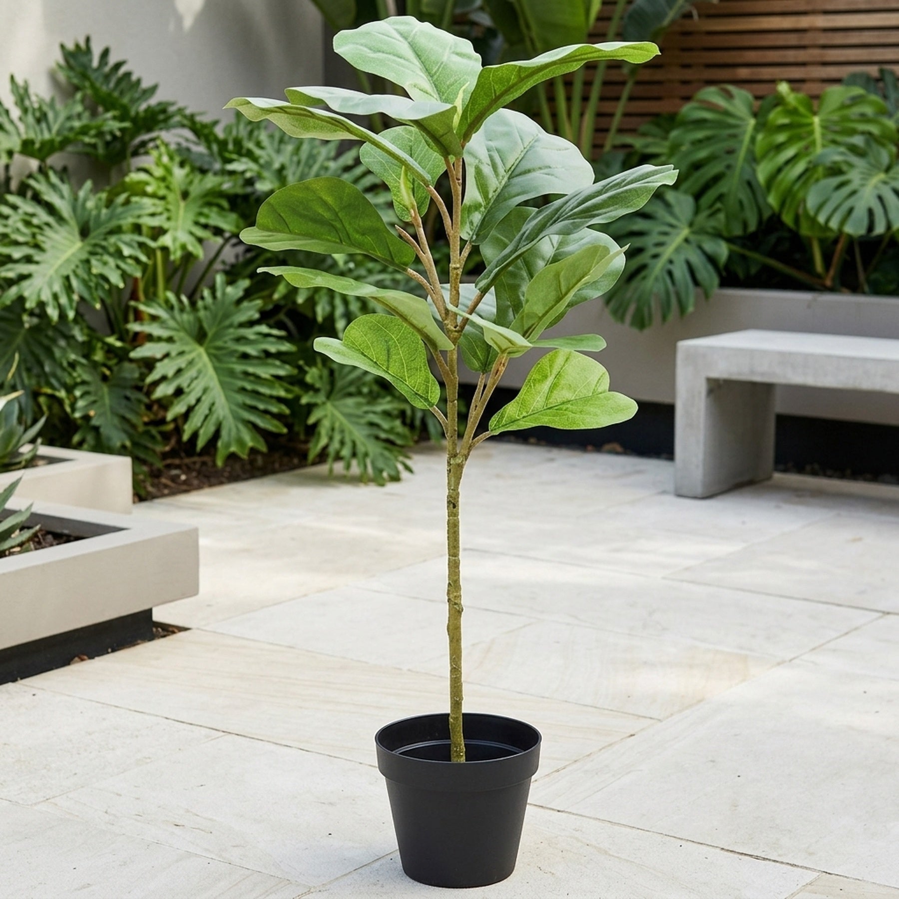 Artificial Potted Ficus Lyrata