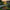 120 Individual Solar Firefly Garden Pole Lights