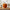 Textured Plush Velvet Pumpkin Ornament