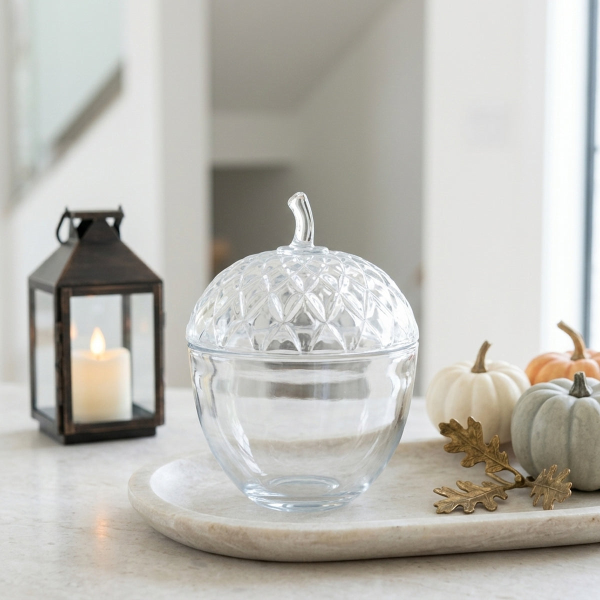 Harvest Edit Glass Acorn Tabletop Display Pot