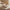 Extra Large Plush Textured Pumpkin Decor