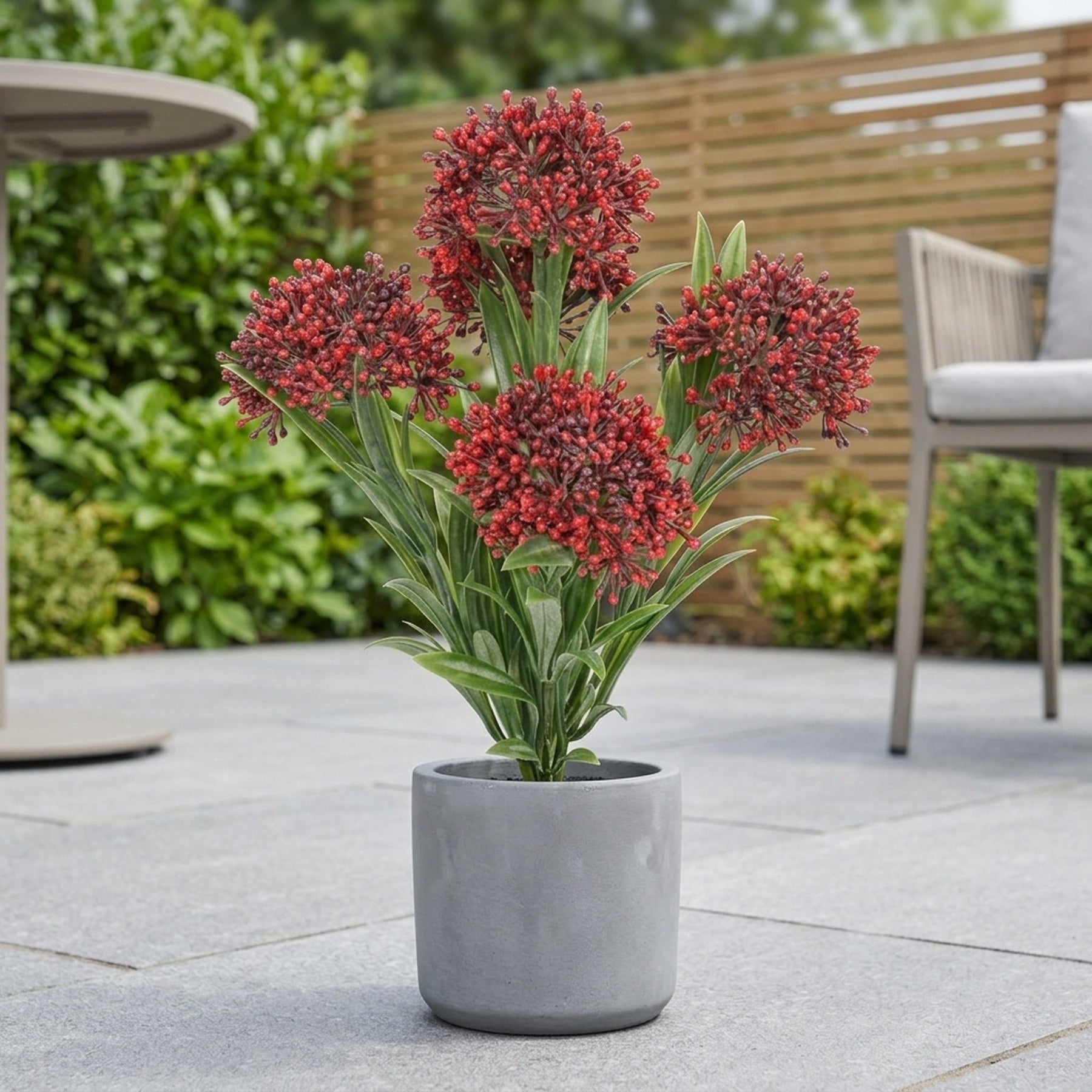 UV Protected Artificial Skimmia Plant