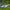 Reclining Brushed Buddha Garden Ornament