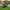 Artificial Grass Turtle Garden Ornament