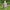 Brushed Buddha Head Garden Figurine