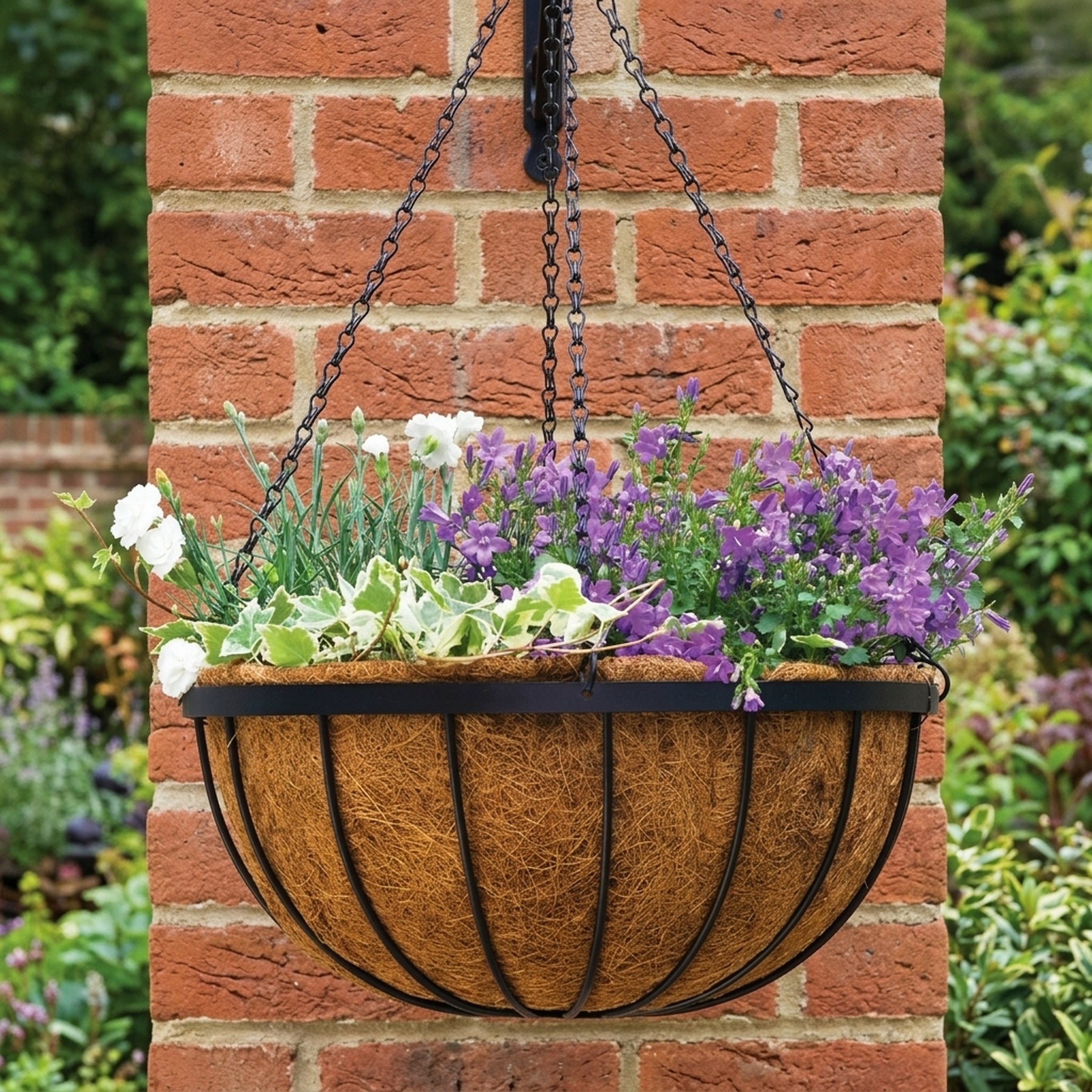 Saxon Metal Hanging Basket with Coco Liner