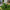 Lunaria Artificial Grass Garden Cat Ornament