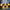 Set of 5 Ice Effect Duckling LED Decorations
