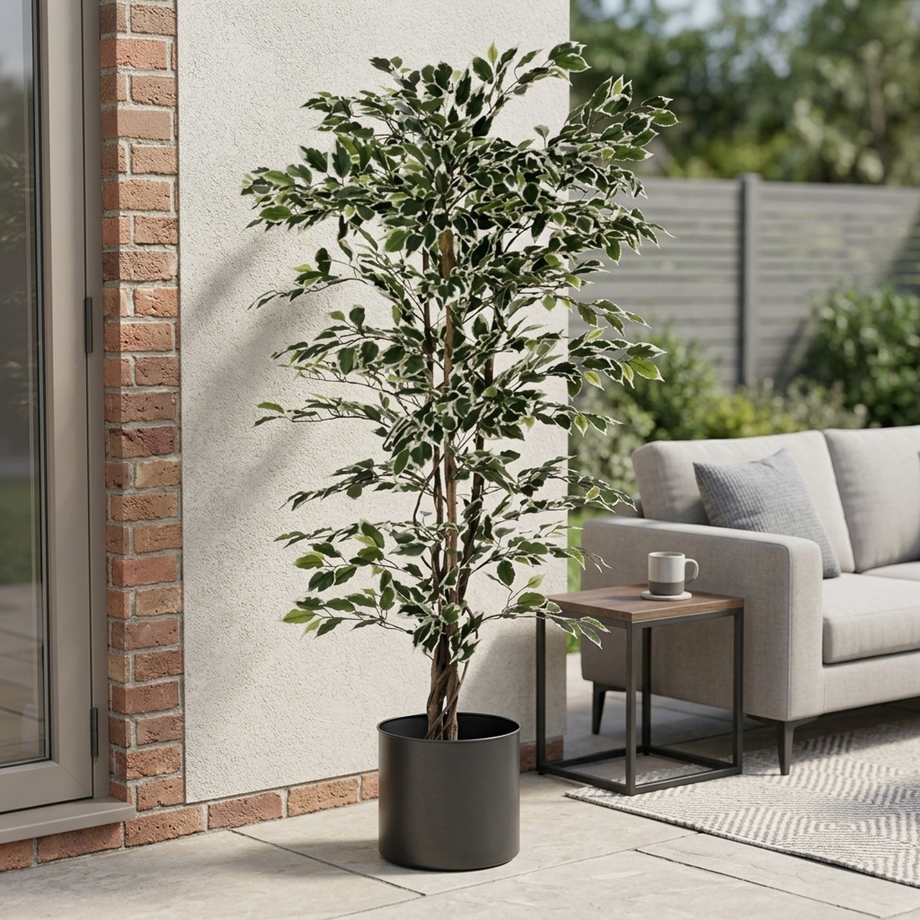 Realistic Variegated Ficus Potted Tree