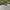 Lunaria Diamond Outdoor Garden Rug