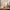 Maison Florals Home Table Lamp