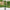 Haven Triple Ball Topiary Tree