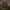 Realistic Foliage Solar Trellis Light