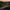 Trio White Light Twig Pathway Stake Lights