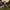 Floral Standing Highland Cow Solar Lamp Post
