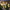 DecoBulb Solar Outdoor String Lights