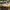 Set of Four Blossom Decorative Garden Stakes