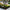 Set of Four Decorative Flower Garden Stakes