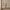 Detailed Pavan Dancer Figurine Sculpture