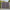 Vivid Violet Expandable Garden Trellis