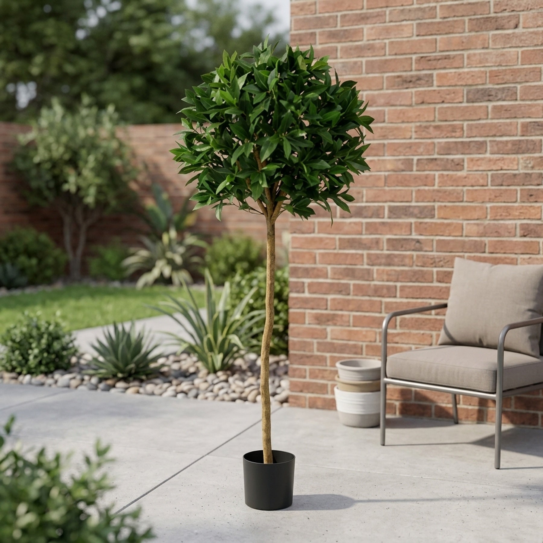 Lush Green Sweet Bay Ball Potted Tree