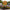 Smilin' Sunflower Solar Garden Stake Light