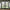 Christmas Tree Twinkling Curtain Lights