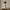 Minimalist Slim Natural Tone Vase