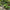 Helix Rustic Leaf Outdoor Garden Arch
