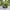 Classic Black Garden Planters, Set of Three