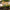 Pardon The Weeds Garden Decorative Stake