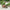 Duo Love Hope Garden Planter Pots