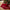 Classic Red Embroidered Merry Christmas Tree Skirt