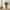 Graceful Wild Flower Display Vase