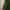 4ft Realistic Woodcote Spruce Tree Display