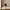 Welcome Rustic Red Mushroom Ornament
