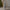 5ft Heritage Fir Pre-Lit Flocked Christmas Tree