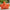 Maple Leaf Shaped Decorative Cushion - V2