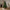 Heritage Fir 6ft Artificial Pre-Lit Christmas Tree