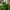 Lunaria Artificial Grass Garden Cat Ornament