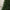 7ft Heritage Fir Artificial Christmas Tree