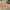 Olives Natural Coir Doormat