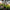 Set of Four Decorative Flower Garden Stakes