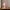 Whimsical Pink Mushroom Table Lamp