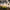 Set of Four Blossom Decorative Garden Stakes