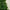 6ft Heritage Fir Classic Plain Green Christmas Tree